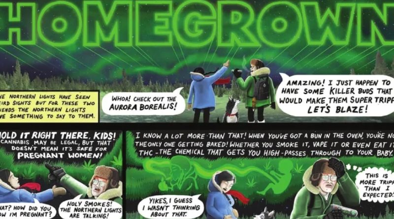 Homegrown: ενημερωτικό κόμικ για την κάνναβη